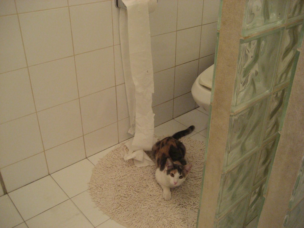 FB体育在线-比利亚雷亚尔1-0击败赫塔菲，卢卡斯终场绝杀，比利亚雷亚尔战绩