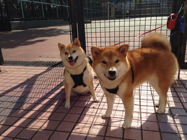 fb体育首页-斯洛特在比赛中注重控球，提升球队控球率，斯洛克规则进球顺序是