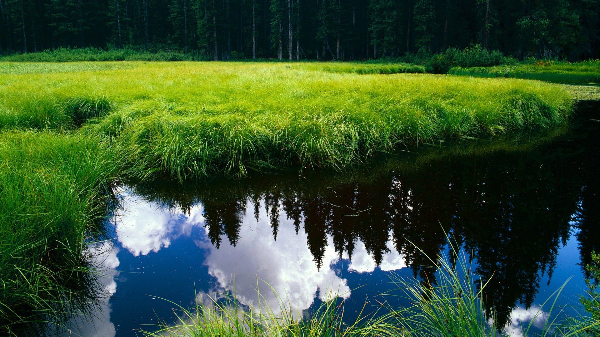 FB体育官方平台-法兰克福豪取三分，继续领跑积分榜，法兰克福sausage