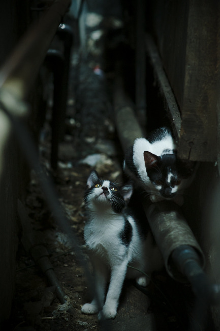 fb体育电脑版-阿森纳边锋回撤参与中场构建，阿森纳边卫