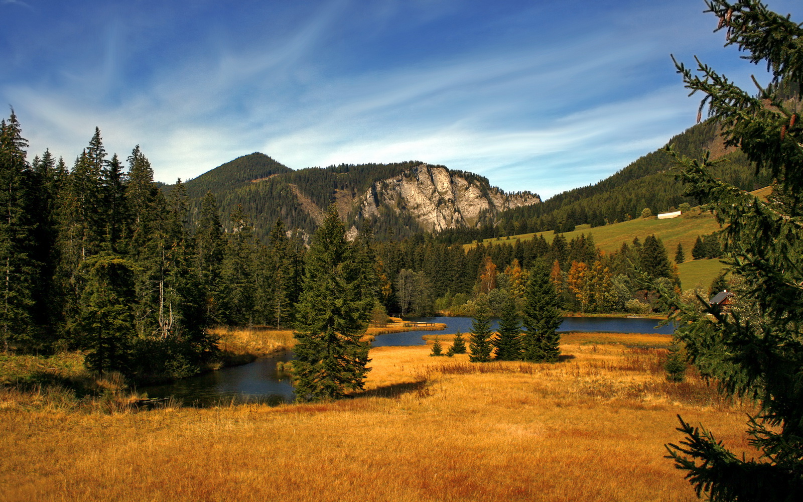 fb体育平台官网-张伟丽赛前称将全力以赴拼到底，张伟丽比赛视频中文解说